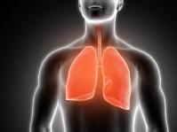 Anatomia Pulmonar