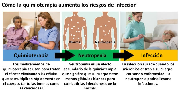 Imagen explicativa de por qué hay más riesgo de infección durante la quimioterapia.